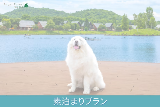 ○使い方いろいろ♪素泊まりプラン♪
