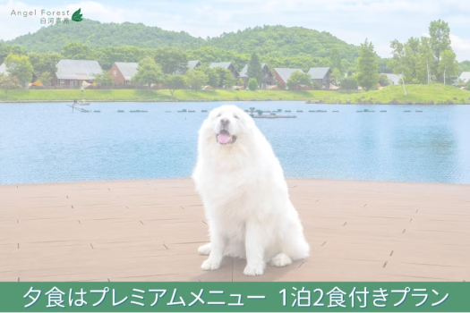 ○【春夏秋はバーベキュー！冬はブイヤベース！】お部屋で楽しむプレミアムメニュープラン