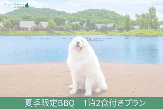 ○【春夏秋限定 大人気プラン】プライベートドッグランで楽しむ大人気コテージBBQプラン