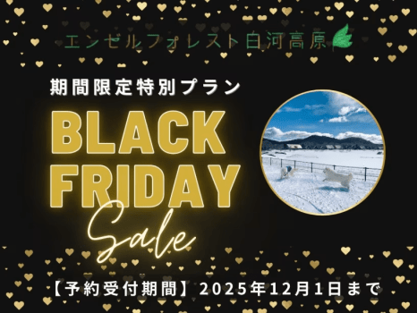 ★2025年ブラックフライデー特別プラン！　バイキング2食付き★