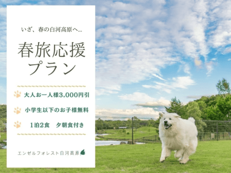 【春旅応援プラン】◆1泊2食付き　セールプラン【小学生以下無料】