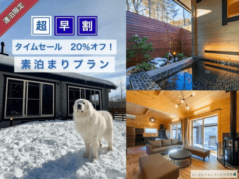 【超早割タイムセール 20％オフ！】　素泊まりプラン　【連泊限定】