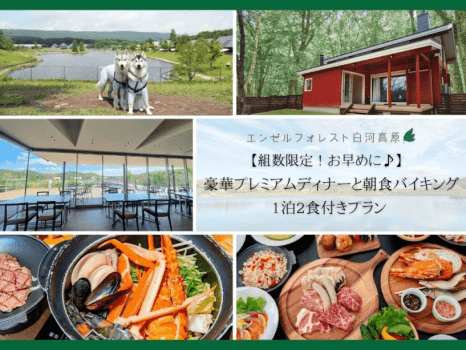 【夕食：お部屋食/朝食：バイキング】　プレミアムメニュープラン