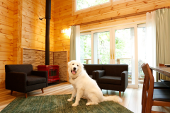 【薪ストーブ・天然温泉・グループ向け】～森～【6名定員 2LDK ドッグラン約80㎡】