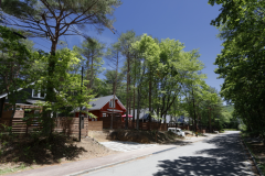 【薪ストーブ・天然温泉・グループ向け】～木立～【6名定員 2LDK ドッグラン約114~153㎡】