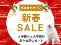 ◆冬の特別プラン★　新春SALE　バイキング2食付き＆お子様のお食事無料！＆大人の方はアルコール飲み放題60分無料★