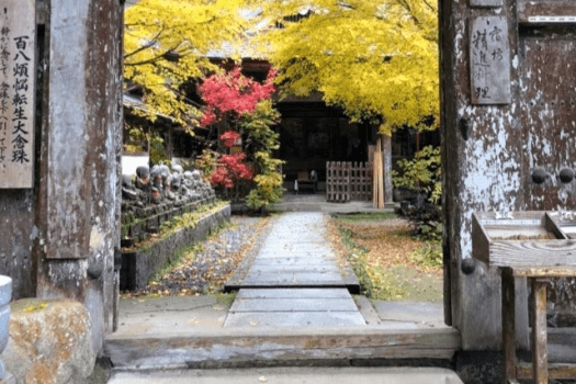 【平日】三朝東郷湖県立自然公園★神と仏が宿る山「秋の三徳山参拝」ご利益プラン