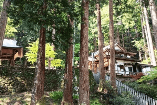 【平日】三朝東郷湖県立自然公園★神と仏が宿る山「秋の三徳山参拝」ご利益プラン