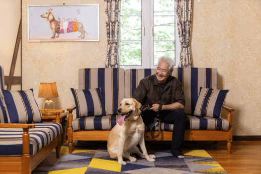 わが子の様に可愛い愛犬も、まるで自宅にいるかのようにのんびりとお過ごしいただけます。