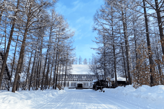 白樺並木の先に佇む雪のセンターハウス。いつ見ても絵になります。