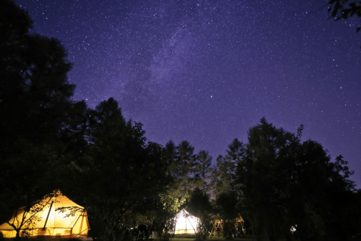 空いっぱいに広がる星々。季節の星座はもちろん、流れ星に願いを込める――そんな夜時間を。