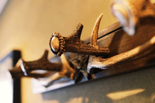 【ディアホーン】「本物」だから好きになる感覚をぜひご体感ください！