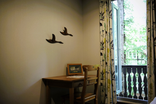 ■<ITOU>森の哲学者■ ■<ITOU>森の哲学者■