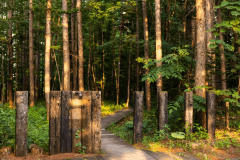 森の小径の先へ――。ドイツの静かな森に訪れているような世界観をぜひ。