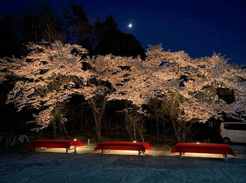 【夜桜鑑賞プラン】春の旅にぴったり♪春限定の贅沢ステイ★嬉しい特典付★