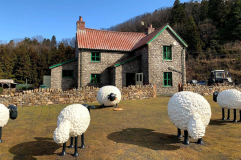 ひつじのショーン ひつじのショーン