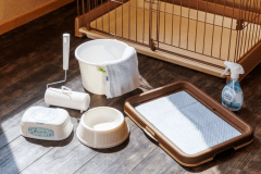 ペット同伴専用【和室12畳】