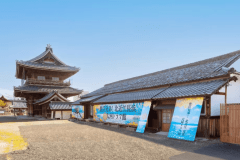 【ぐる～っと博覧会】豊臣兄弟ゆかりの地！「北近江豊臣博覧会」3施設共通券付！◆茶々の華◆