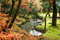 【山寺で紅葉を奏でる♪近江狐篷庵】入館券付!源泉かけ流し天然温泉で秋を満喫♪地の幸と季節の味 【山寺で紅葉を奏でる♪近江狐篷庵】入館券付!源泉かけ流し天然温泉で秋を満喫♪地の幸と季節の味