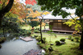 【山寺で紅葉を奏でる♪近江狐篷庵】入館券付!源泉かけ流し天然温泉で秋を満喫♪地の幸と季節の味 【山寺で紅葉を奏でる♪近江狐篷庵】入館券付!源泉かけ流し天然温泉で秋を満喫♪地の幸と季節の味