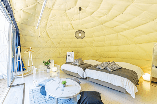 【Dog-friendly🐾】Raindrop