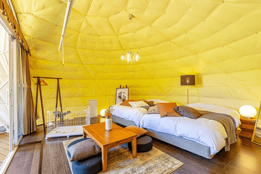 【Dog-friendly🐾】Raindrop