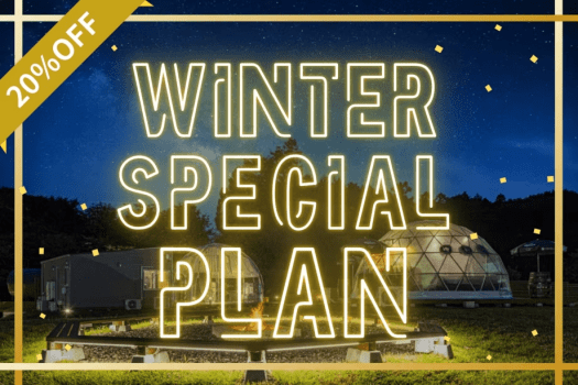 《1月～2月の特定日限定・最大20％OFF》期間限定のWINTER SALEプラン【選べるお食事】