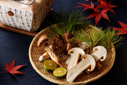 松茸を炭火で贅沢に 松茸を炭火で贅沢に