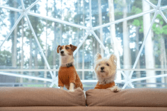 【平日割★25%オフ】平日がお得♪お好きな食材を自由に持ち込みOKの素泊まりプラン