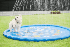 【素泊まりプラン】★お好きな食材を自由に持ち込みOK★