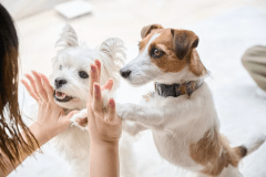 【早割30✨15%OFF✨】30日以上前のご予約がお得な素泊まりプラン