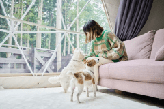 D☆CABIN（ウッドデッキ・ドームテント)