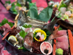 ご夕食・舟盛り(イメージ)