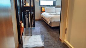 【ドッグフレンドリー】スタンダードダブル