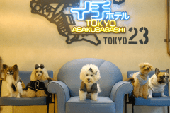 わんちゃんと一緒に泊まれる♪