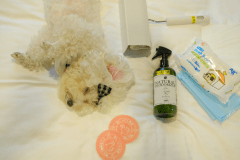 わんちゃん用アメニティもご用意しております。