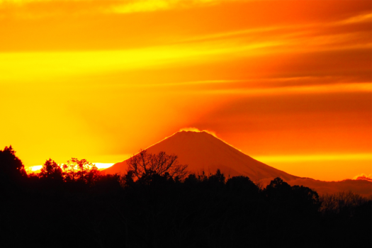 【富士山を見ながら空を飛ぶ！パラグライダーアクティビティ付き】山から飛ぶ？自分で飛ぶ？選べるパラグライダーセット宿泊プラン（素泊まり/1人当たり料金）～グランピングヴィレッジ富士河口湖～