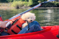 [Popular Plan!] Relax and Enjoy Nature with Stunning Views of Mount Fuji: Kayaking Experience Plan [10:30 AM Start] [Price Per Person] ~ Glamping Village Fuji Kawaguchiko ~