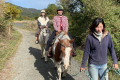 【Lodging & Horseback Riding Plan】A Special Plan Combining Horseback Riding Activity and Accommodation★(No Meals Included/Price Per Person) ~ Glamping Village Fuji Kawaguchiko
