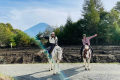 【Lodging & Horseback Riding Plan】A Special Plan Combining Horseback Riding Activity and Accommodation★(No Meals Included/Price Per Person) ~ Glamping Village Fuji Kawaguchiko