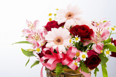 【記念日×グレードアップ会席】大切な日をお祝いする特典（お花・ケーキ・ワイン）★選べる逸品／フカヒレの姿煮orアワビのバター焼き