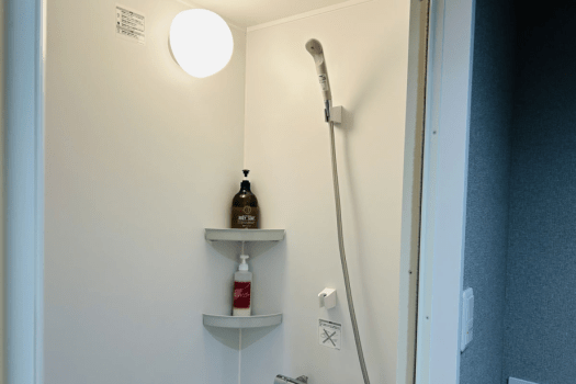 Japanese-style room with beds