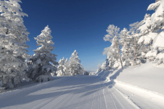 3 nights minimum half board