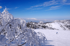 3 nights minimum Breakfast Included