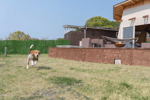 ≪いぬやど会員様限定1人1,000円引き！≫【1泊2食】◇スペシャルステイ◇"トップグレードBBQプラン"～自慢の地元食材、淡路牛のステーキや新鮮な海鮮を豪快にBBQで堪能。天然温泉付きグランピングリゾートでラグジュアリーなご滞在～