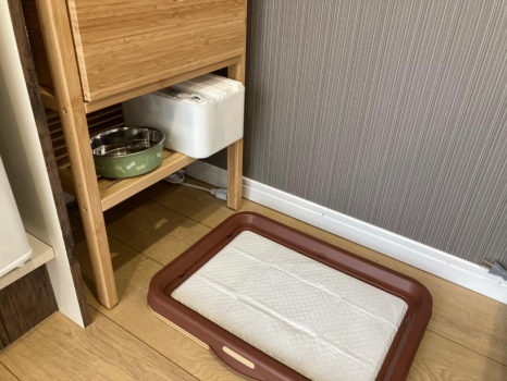 トイレ、シート、お食事用ボウルをご用意しています。
