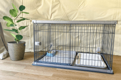 ドッググランピング“紗綾”-saya-