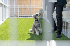 《villa.B》■ペット可■～専用バレルサウナ＆ジャグジー付～