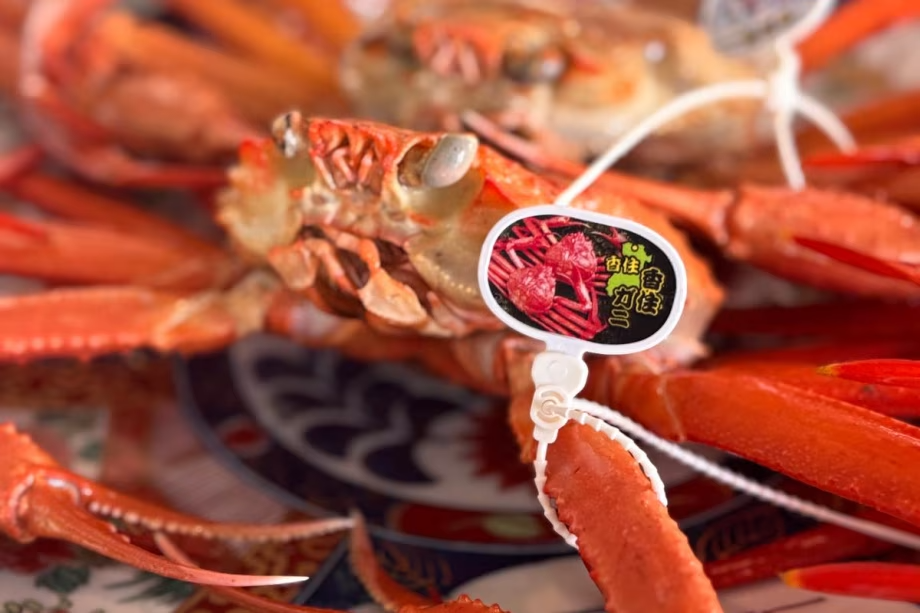 【秋季限定/美食の饗宴】松茸黒毛和牛しゃぶしゃぶ × 香住蟹のボイル姿付き|秋季贅沢コース【ヴィラ】 【秋季限定/美食の饗宴】松茸黒毛和牛しゃぶしゃぶ × 香住蟹のボイル姿付き|秋季贅沢コース【ヴィラ】