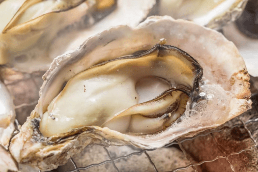 【かきカニ小屋】牡蠣カニ合戦コース｜離れ客室/1棟貸ヴィラ